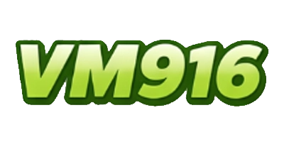 VM916 logo